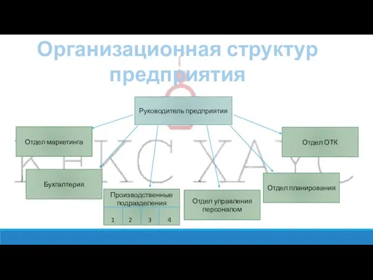 Организационная структур предприятия