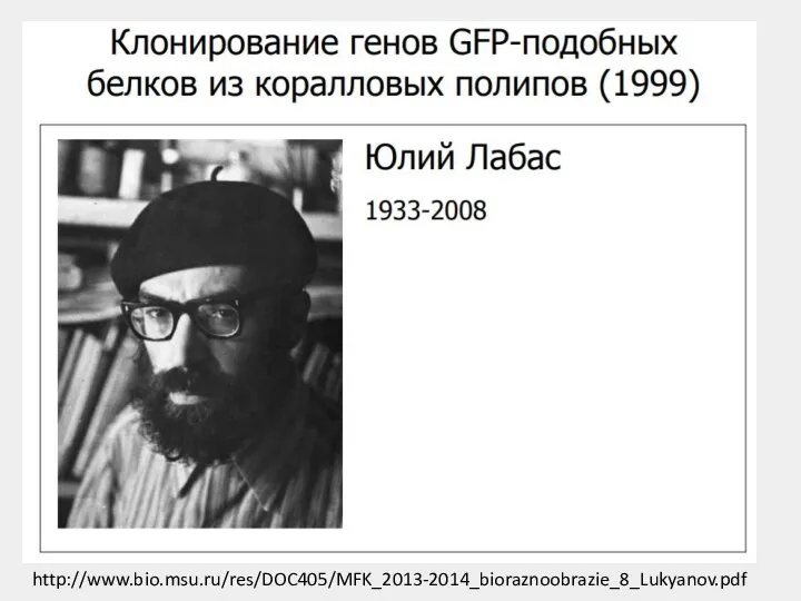 http://www.bio.msu.ru/res/DOC405/MFK_2013-2014_bioraznoobrazie_8_Lukyanov.pdf