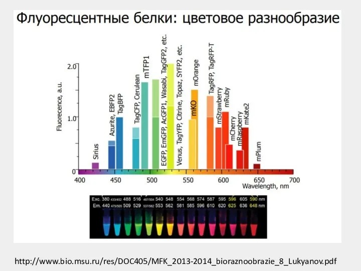 http://www.bio.msu.ru/res/DOC405/MFK_2013-2014_bioraznoobrazie_8_Lukyanov.pdf