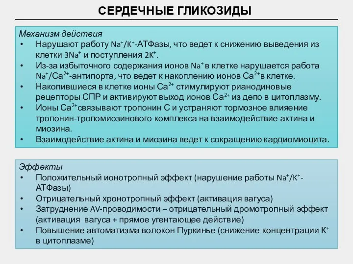 СЕРДЕЧНЫЕ ГЛИКОЗИДЫ Механизм действия Нарушают работу Na+/K+-АТФазы, что ведет к снижению выведения