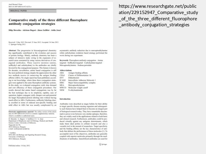 https://www.researchgate.net/publication/229152947_Comparative_study_of_the_three_different_fluorophore_antibody_conjugation_strategies