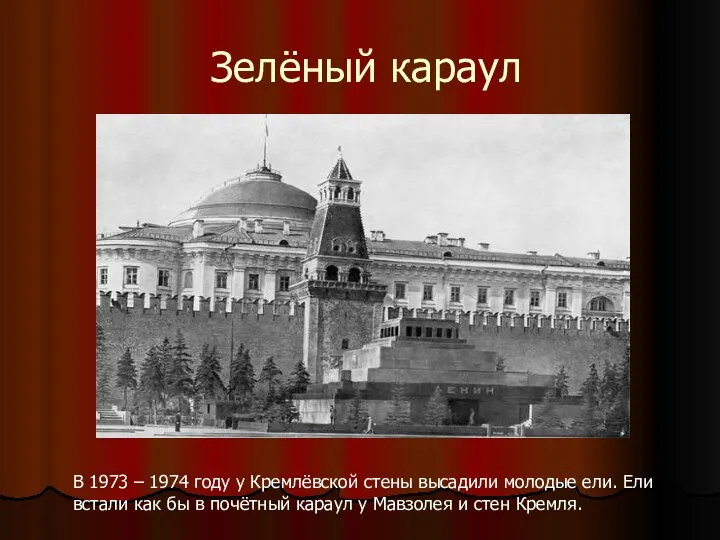 Зелёный караул В 1973 – 1974 году у Кремлёвской стены высадили молодые