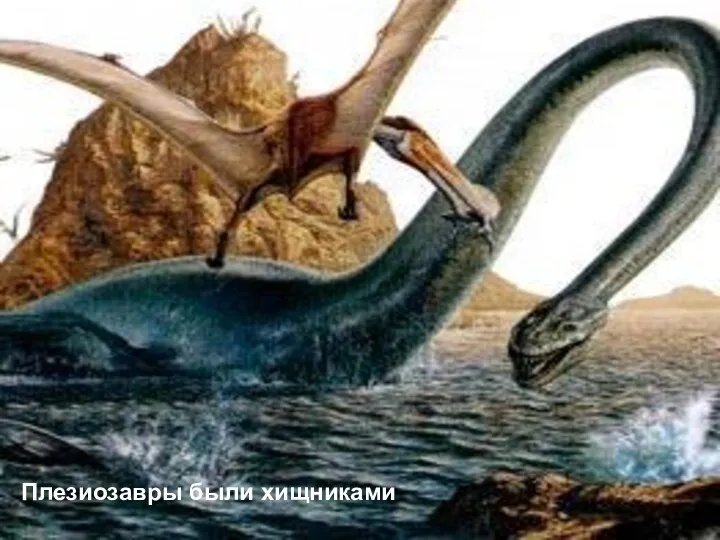 Плезиозавры были хищниками