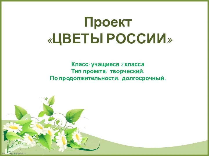 Проект «ЦВЕТЫ РОССИИ» Класс: учащиеся 2 класса Тип проекта: творческий. По продолжительности: долгосрочный.