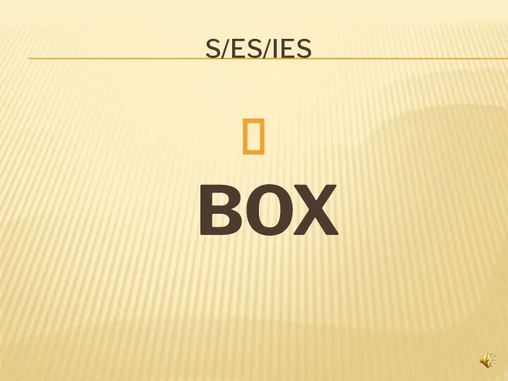 S/ES/IES BOX
