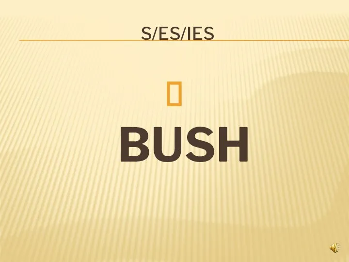 S/ES/IES BUSH
