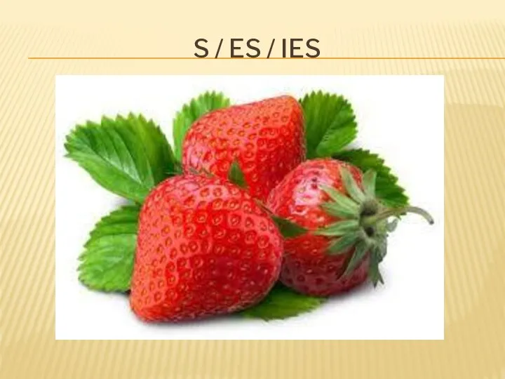 S / ES / IES