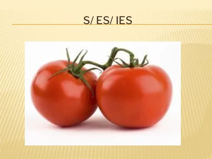 S/ ES/ IES