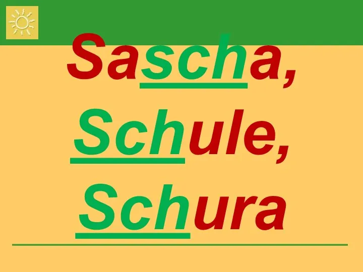Sascha, Schule, Schura
