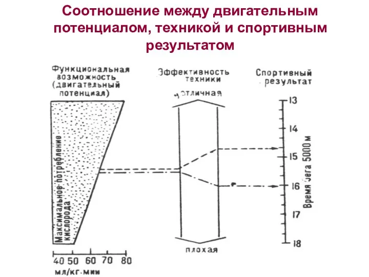 Соотношение между двигательным потенциалом, техникой и спортивным результатом