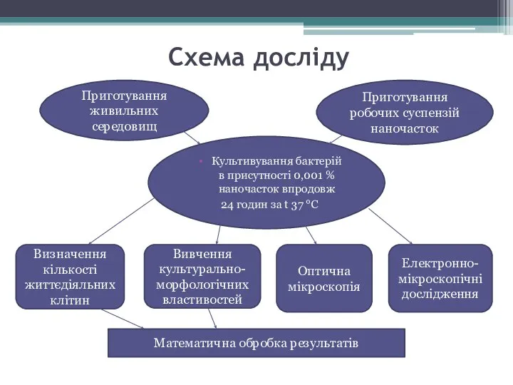 Схема досліду Приготування живильних середовищ Культивування бактерій в присутності 0,001 % наночасток