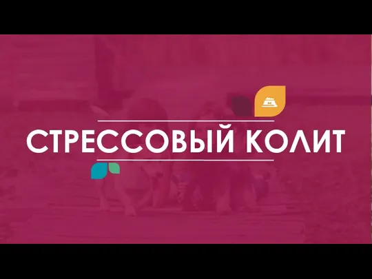 СТРЕССОВЫЙ КОЛИТ