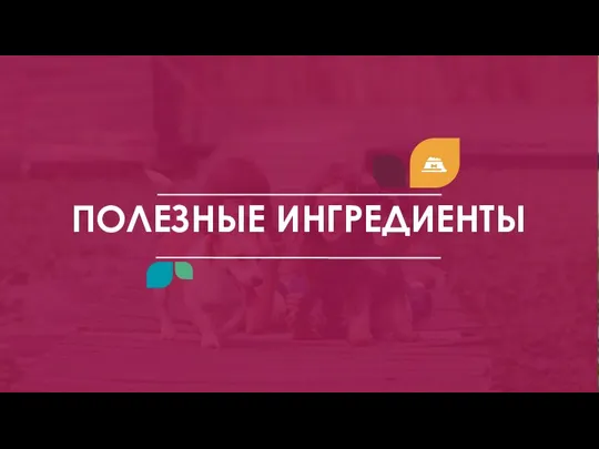 ПОЛЕЗНЫЕ ИНГРЕДИЕНТЫ