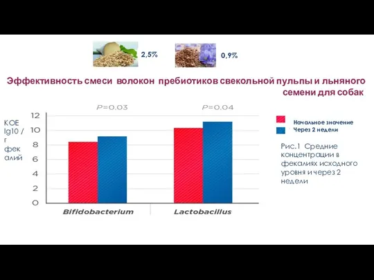 Эффективность смеси волокон пребиотиков свекольной пульпы и льняного семени для собак