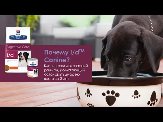 Почему i/dTM Canine? Клинически доказанный рацион, помогающий остановить диарею всего за 3 дня