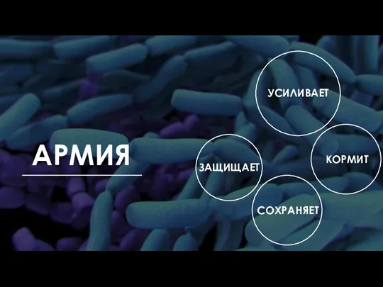 УСИЛИВАЕТ ЗАЩИЩАЕТ КОРМИТ СОХРАНЯЕТ