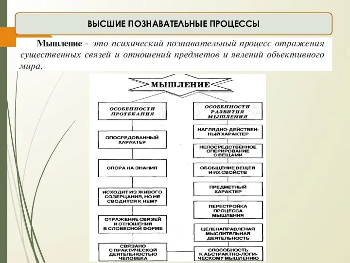 ВЫСШИЕ ПОЗНАВАТЕЛЬНЫЕ ПРОЦЕССЫ