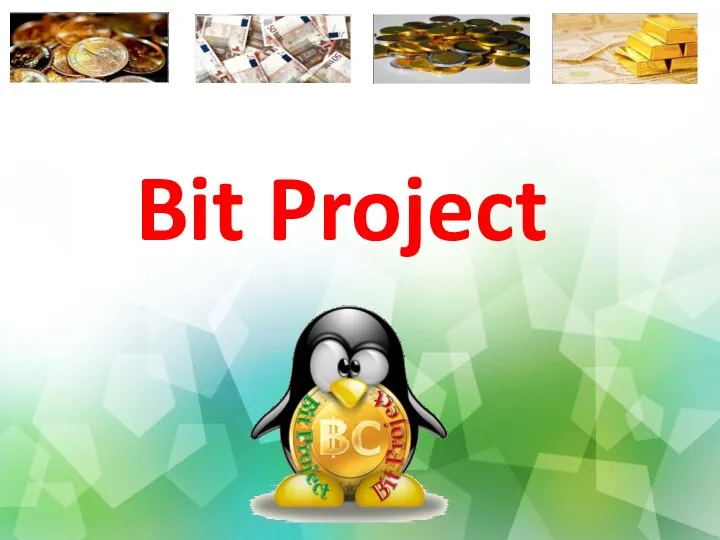 Bit Project