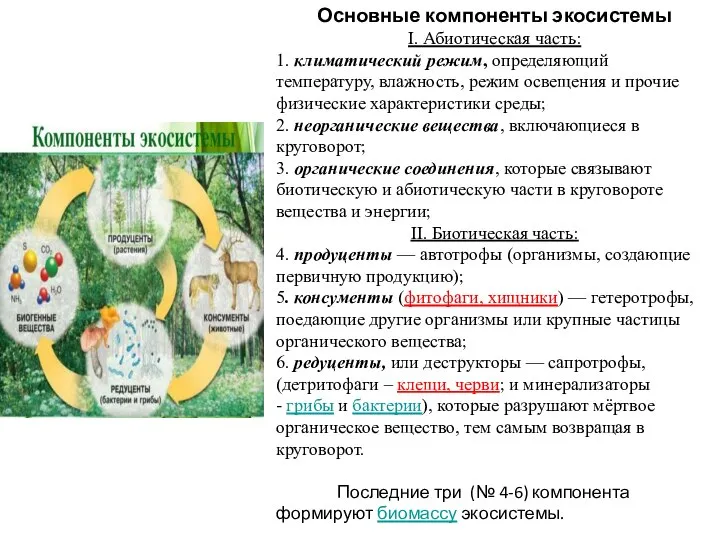 Основные компоненты экосистемы I. Абиотическая часть: 1. климатический режим, определяющий температуру, влажность,