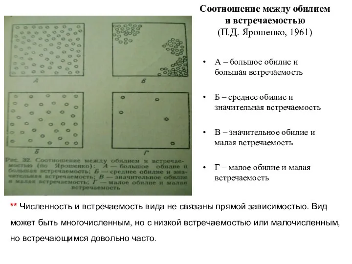 Соотношение между обилием и встречаемостью (П.Д. Ярошенко, 1961) А – большое обилие