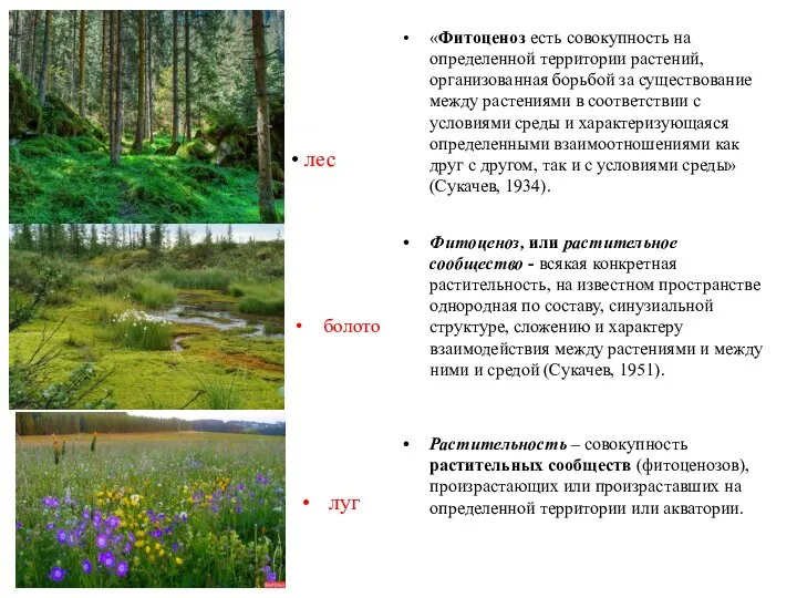 «Фитоценоз есть совокупность на определенной территории растений, организованная борьбой за существование между