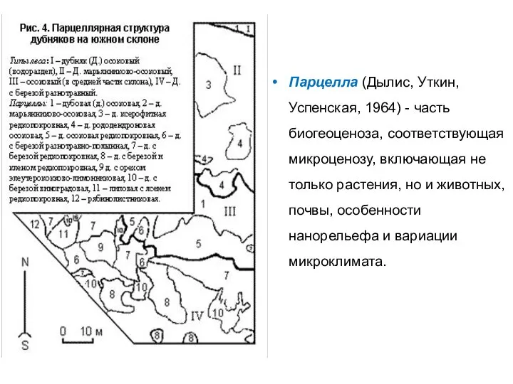 Парцелла (Дылис, Уткин, Успенская, 1964) - часть биогеоценоза, соответствующая микроценозу, включающая не