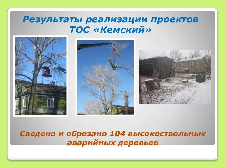 Результаты реализации проектов ТОС «Кемский» Сведено и обрезано 104 высокоствольных аварийных деревьев