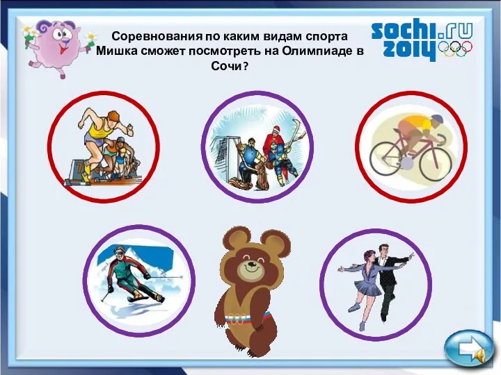 Соревнования по каким видам спорта Мишка сможет посмотреть на Олимпиаде в Сочи?