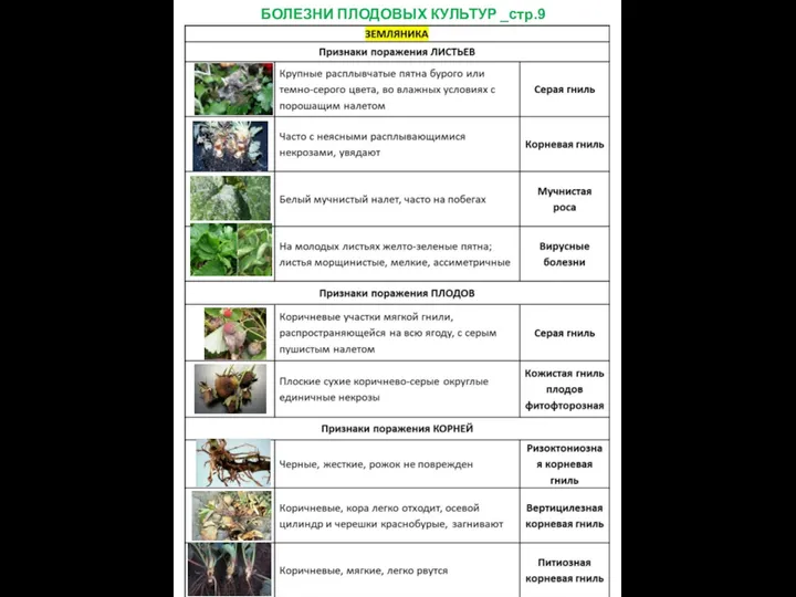 БОЛЕЗНИ ПЛОДОВЫХ КУЛЬТУР _стр.9