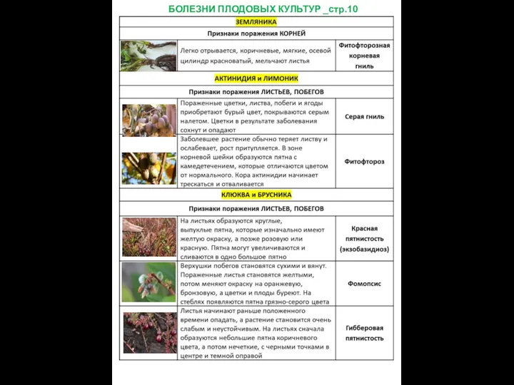 БОЛЕЗНИ ПЛОДОВЫХ КУЛЬТУР _стр.10