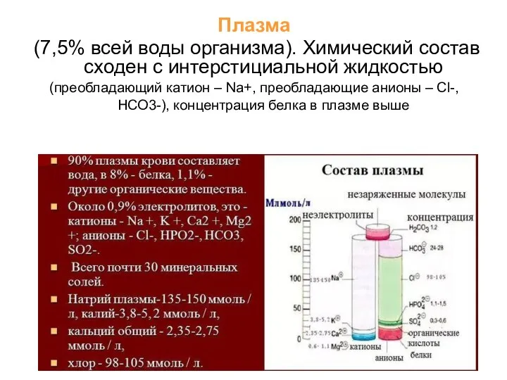 Плазма (7,5% всей воды организма). Химический состав сходен с интерстициальной жидкостью (преобладающий