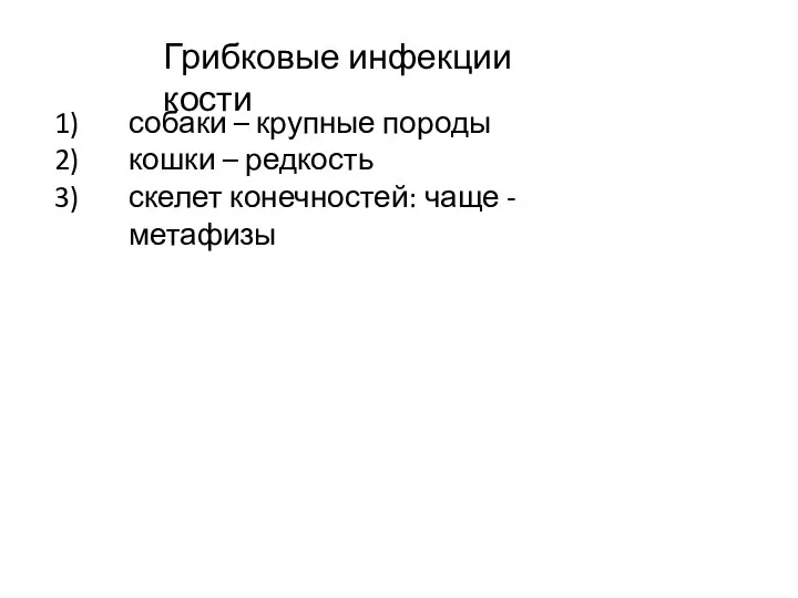 Грибковые инфекции кости собаки – крупные породы кошки – редкость скелет конечностей: чаще - метафизы