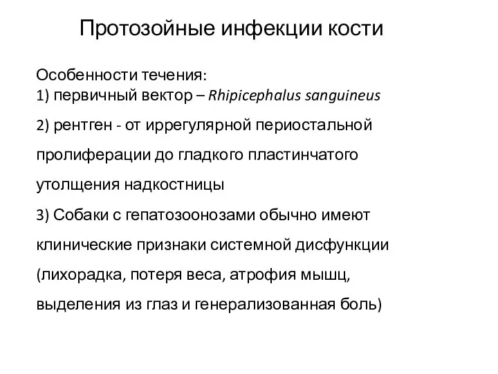 Протозойные инфекции кости Особенности течения: 1) первичный вектор – Rhipicephalus sanguineus 2)