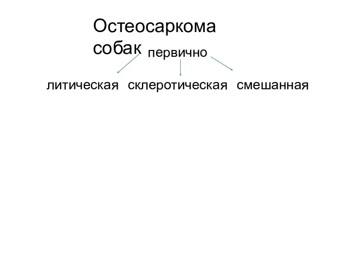 первично литическая склеротическая смешанная Остеосаркома собак