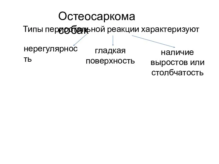 Типы периостальной реакции характеризуют Остеосаркома собак наличие выростов или столбчатость гладкая поверхность нерегулярность