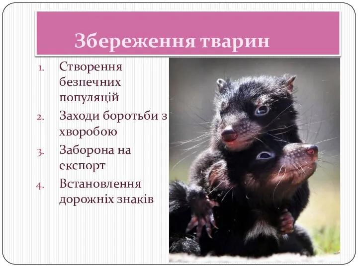 Збереження тварин Створення безпечних популяцій Заходи боротьби з хворобою Заборона на експорт Встановлення дорожніх знаків