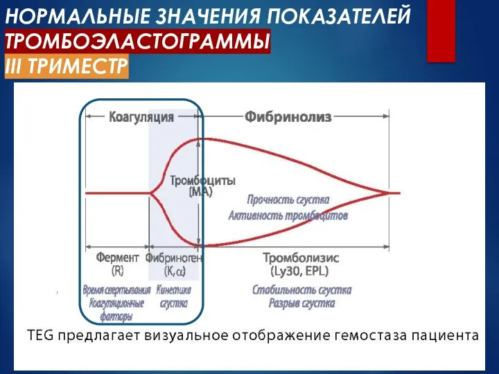 НОРМАЛЬНЫЕ ЗНАЧЕНИЯ ПОКАЗАТЕЛЕЙ ТРОМБОЭЛАСТОГРАММЫ III ТРИМЕСТР