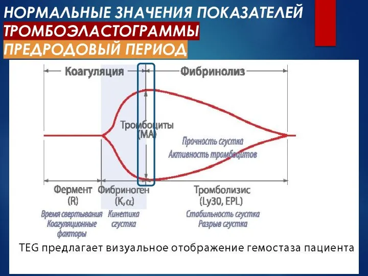 НОРМАЛЬНЫЕ ЗНАЧЕНИЯ ПОКАЗАТЕЛЕЙ ТРОМБОЭЛАСТОГРАММЫ ПРЕДРОДОВЫЙ ПЕРИОД