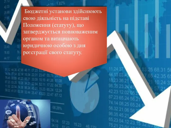 Бюджетні установи здійснюють свою діяльність на підставі Положення (статуту), що затверджується повноваженим