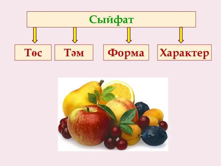 Сыйфат Төс Тәм Форма Характер