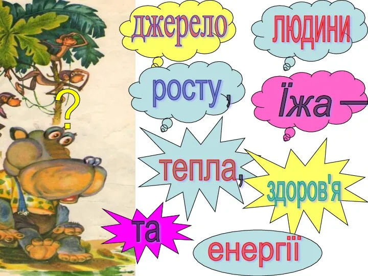 ? джерело Їжа _ здоров'я росту тепла людини та енергії , ,