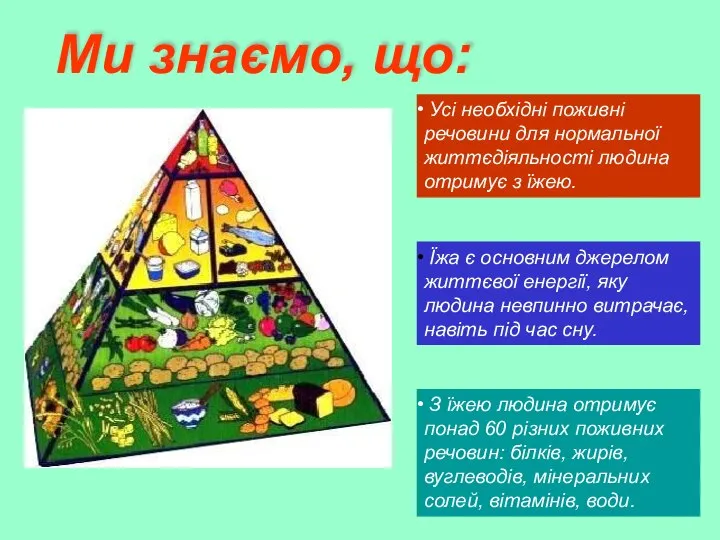 Їжа є основним джерелом життєвої енергії, яку людина невпинно витрачає, навіть під