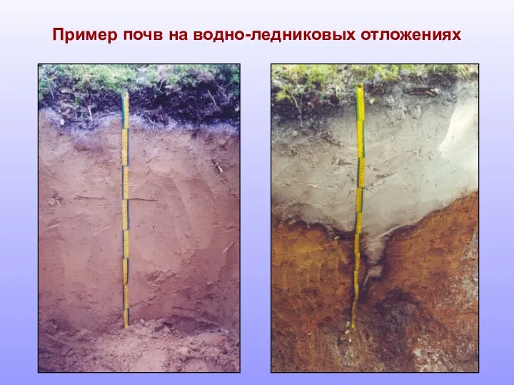 Пример почв на водно-ледниковых отложениях