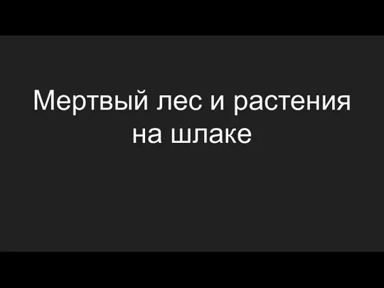 Мертвый лес и растения на шлаке