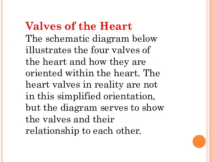 Valves of the Heart The schematic diagram below illustrates the four valves