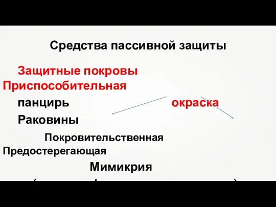 Средства пассивной защиты Защитные покровы Приспособительная панцирь окраска Раковины Покровительственная Предостерегающая Мимикрия (окраска, форма тела, поведение)