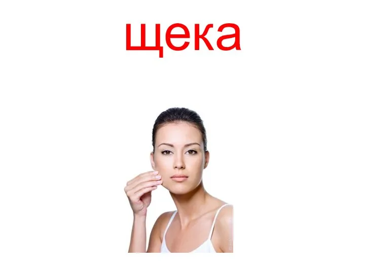 щека