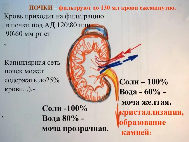 , Соли -100% Вода 80% - моча прозрачная. Соли – 100% Вода