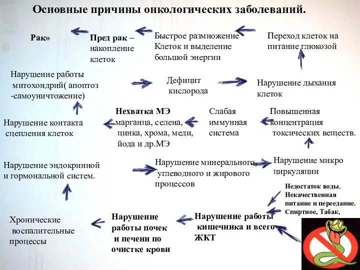 Недостаток воды, Некачественная питание и переедание. Спиртное, Табак, Нарушение работы кишечника и