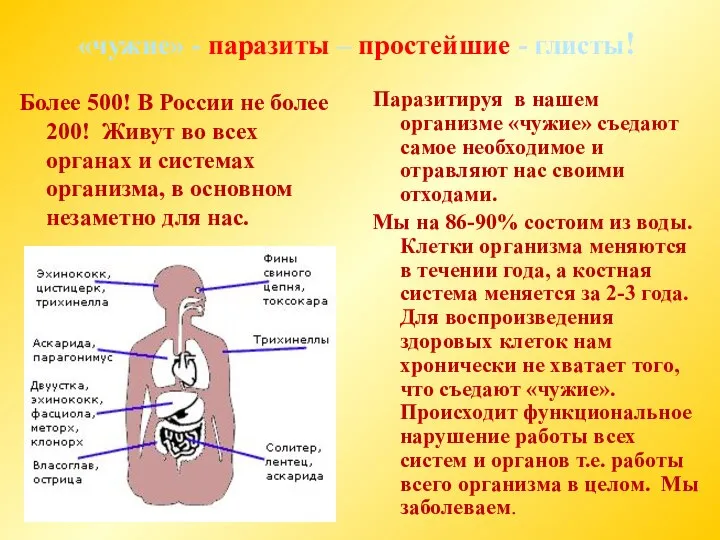 «чужие» - паразиты – простейшие - глисты! Более 500! В России не